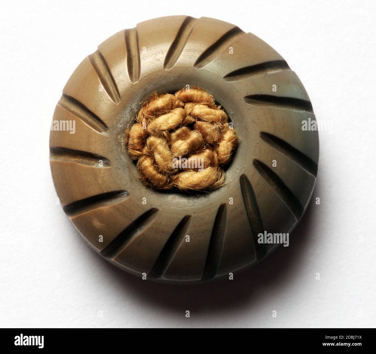Close up on button isolated Stock Photo