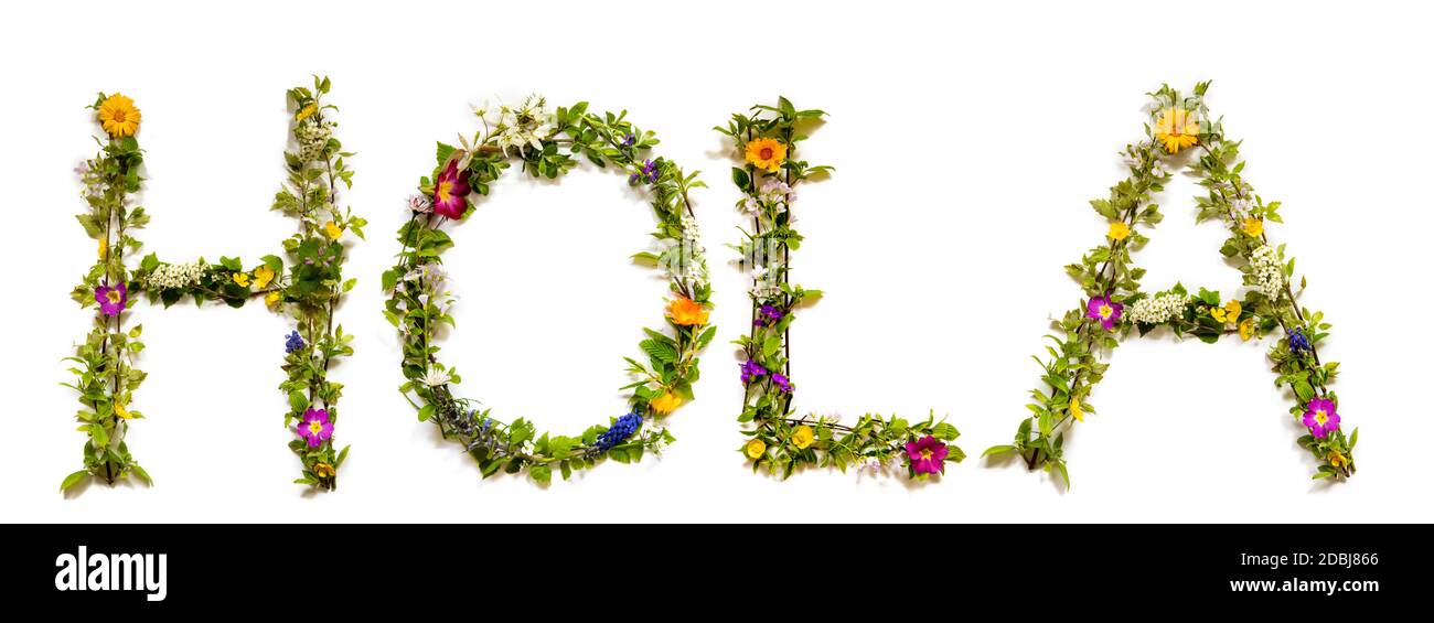Flower, Branches And Blossom Letter Building Spanish Word Hola Means