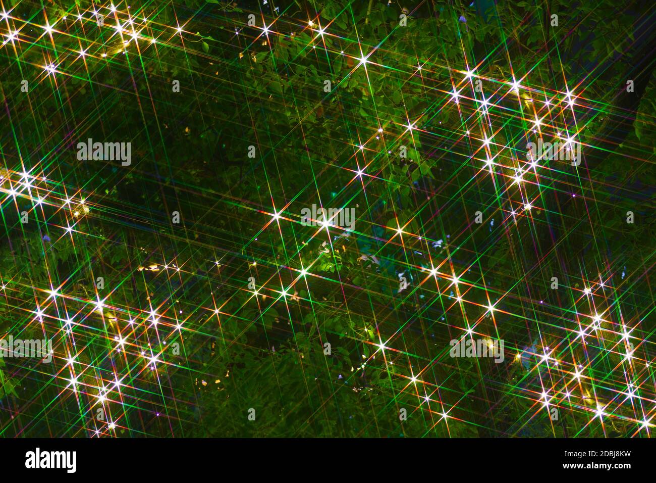 Sparkling tree Stock Photo