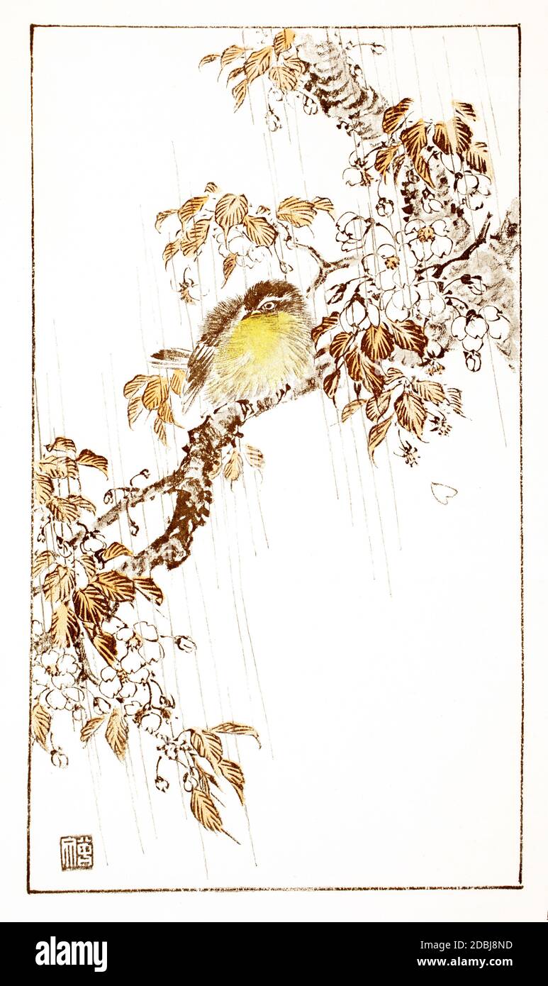 Japanese art, illustration by Morikawa Sobun (1847-1902), bird in tree, Chromo-lithograph from 1896 The Studio an Illustrated Magazine of Fine and App Stock Photo