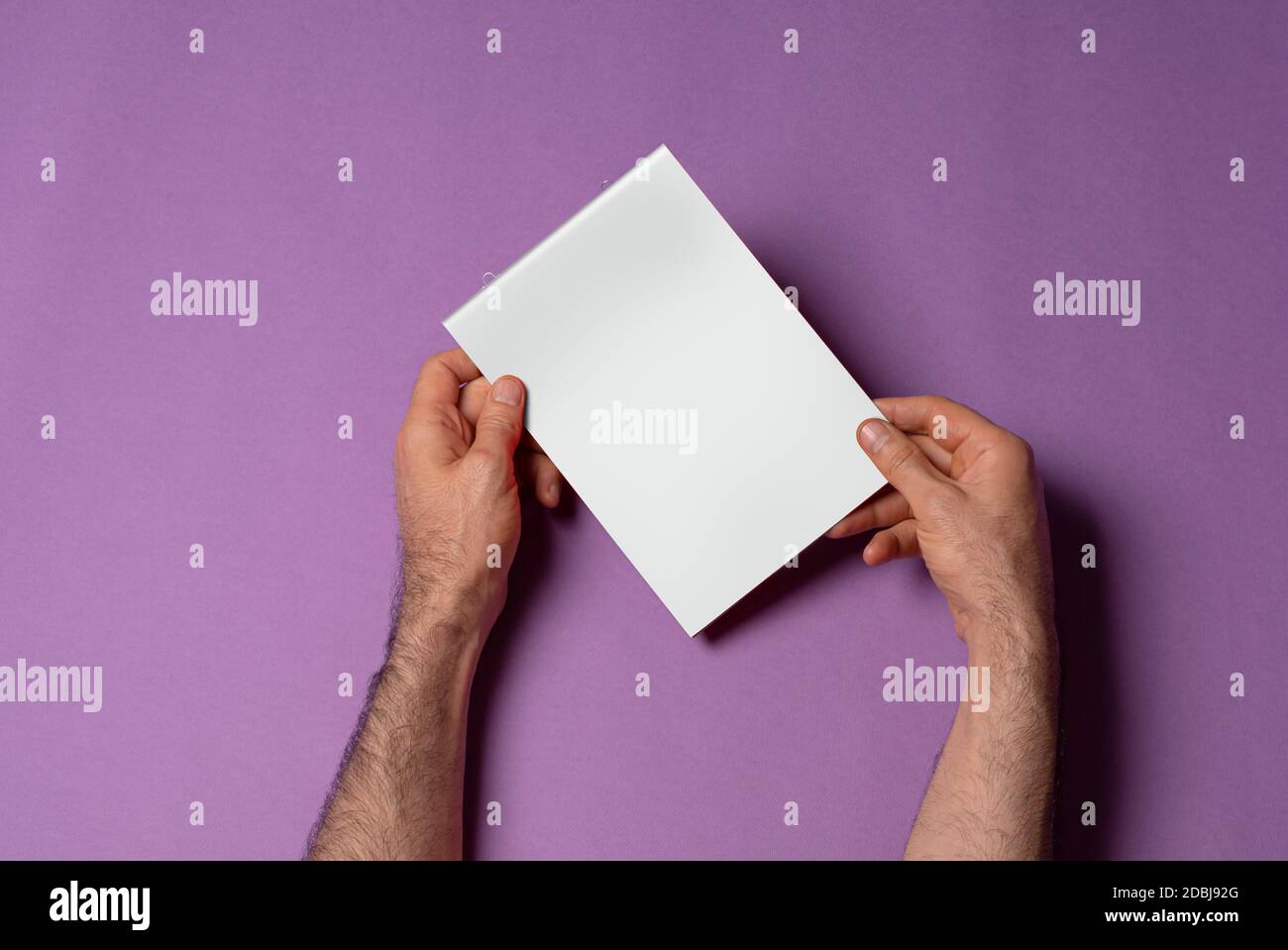 Male hands holding a small a5 catalog with blank cover on purple
