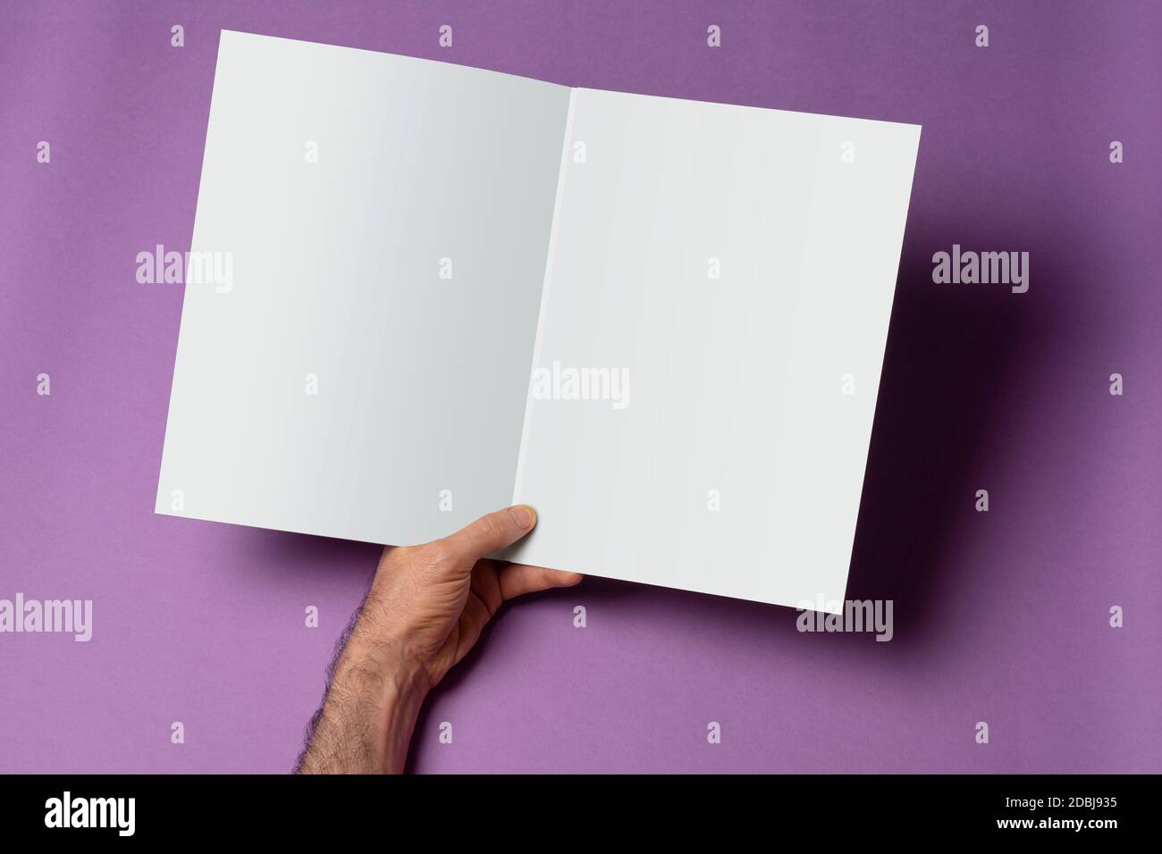 Male hands holding an opened trifold catalog with blank pages on