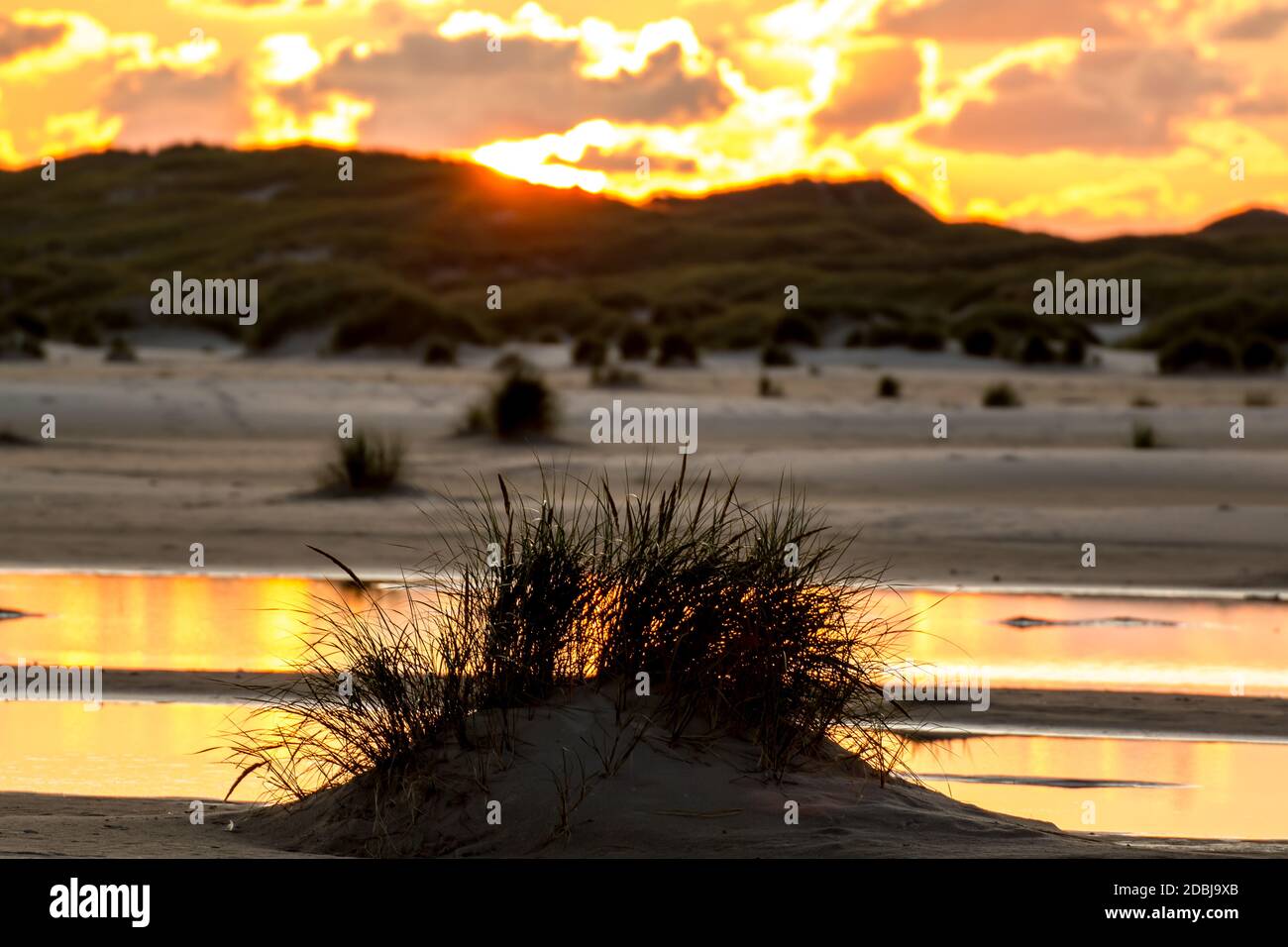 Amrum dune hi-res stock photography and images - Alamy