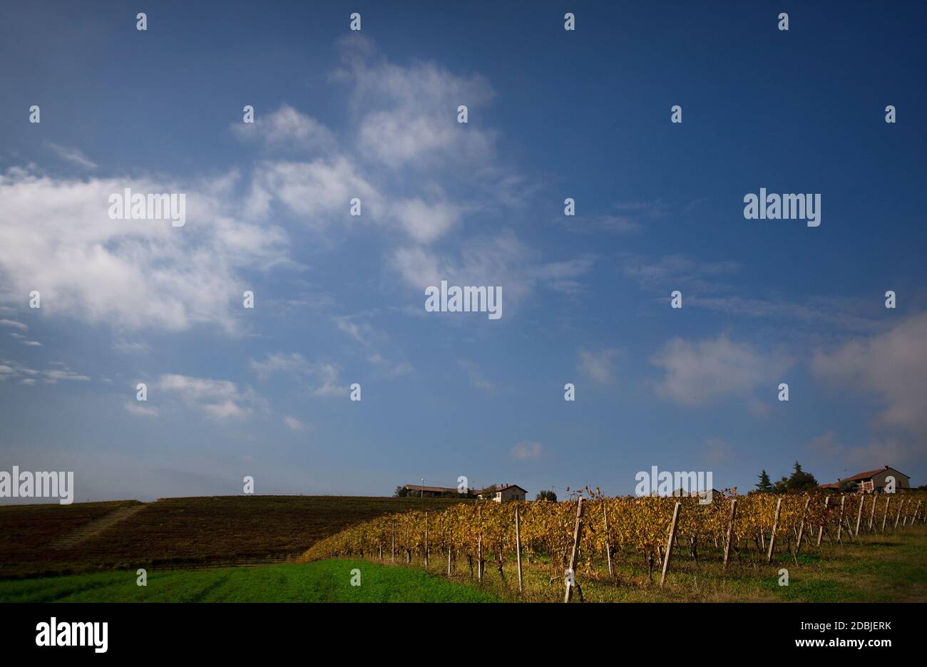 Autumn in Moferrato Region, Piedmont (italy) Stock Photo