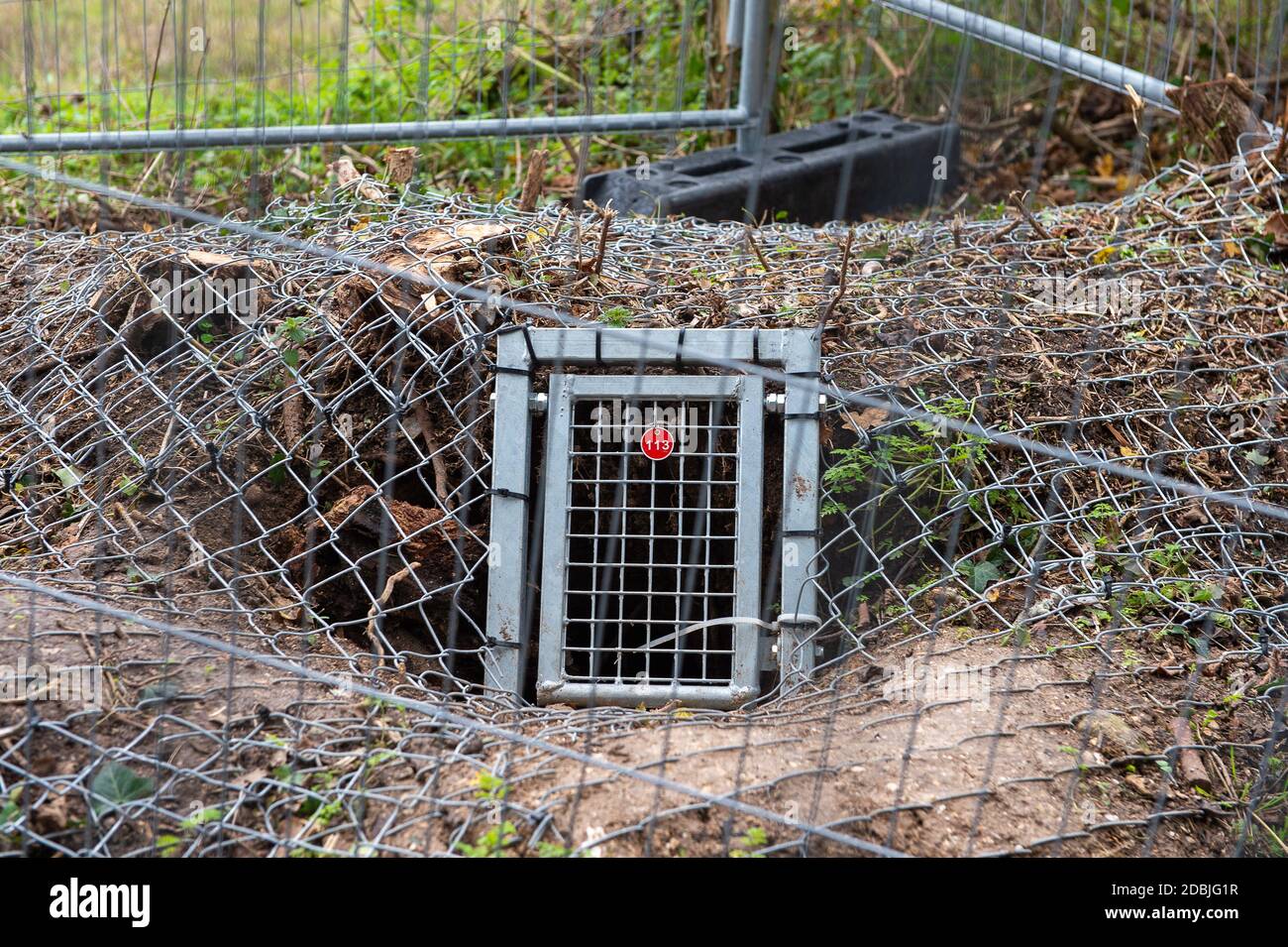 Badger Gates High Resolution Stock Photography and Images - Alamy
