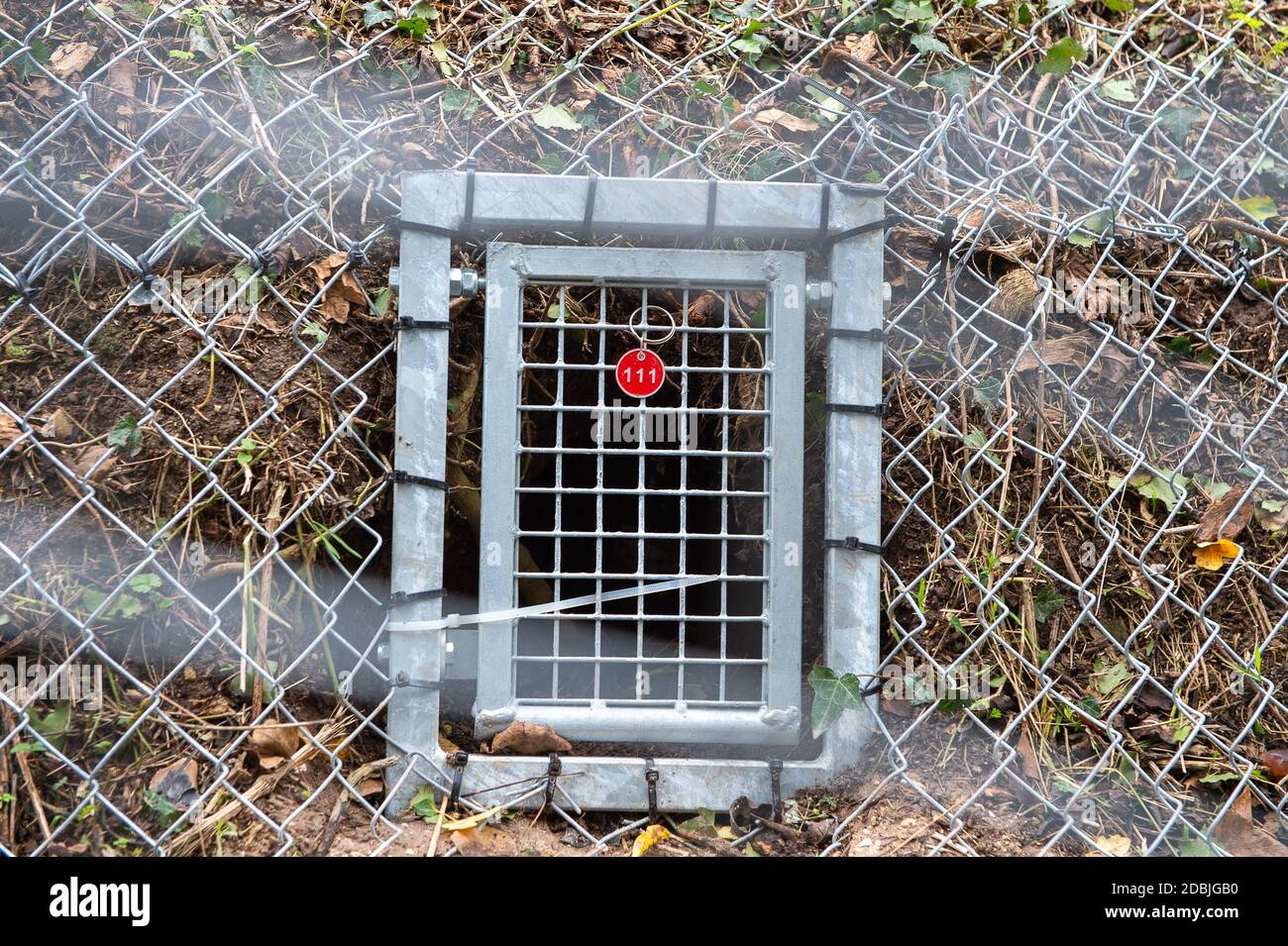 Badger Gates High Resolution Stock Photography and Images - Alamy