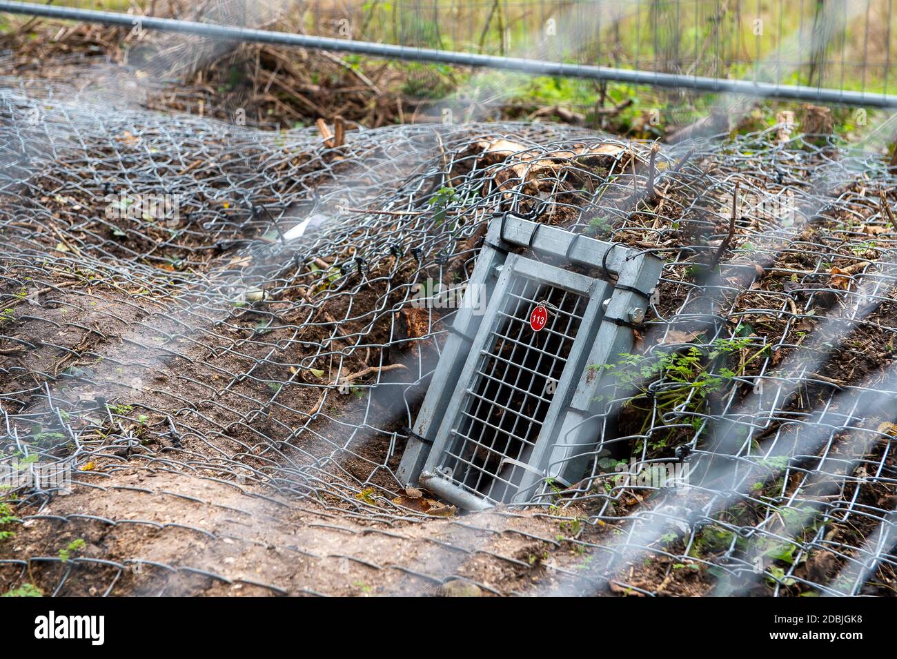 Badger Gates High Resolution Stock Photography and Images - Alamy