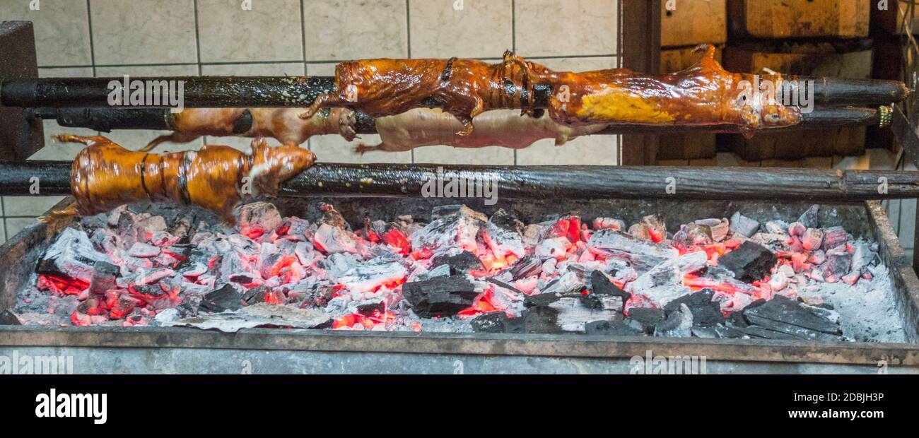 BBQ Cuy  Guinea Pigs  on a spit Stock Photo
