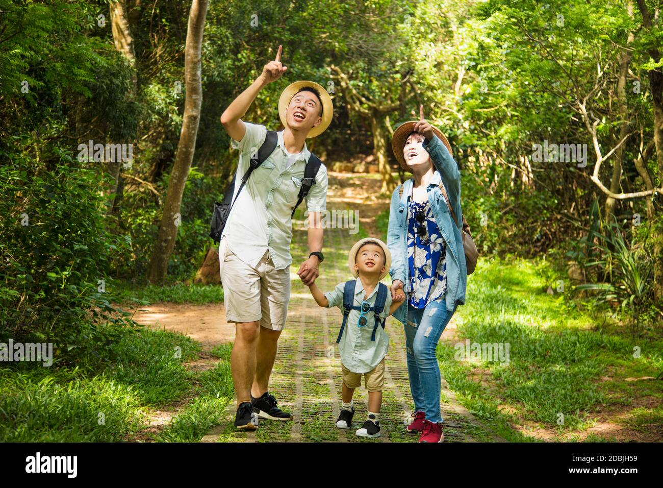 happy family hiking through the forest Stock Photo - Alamy
