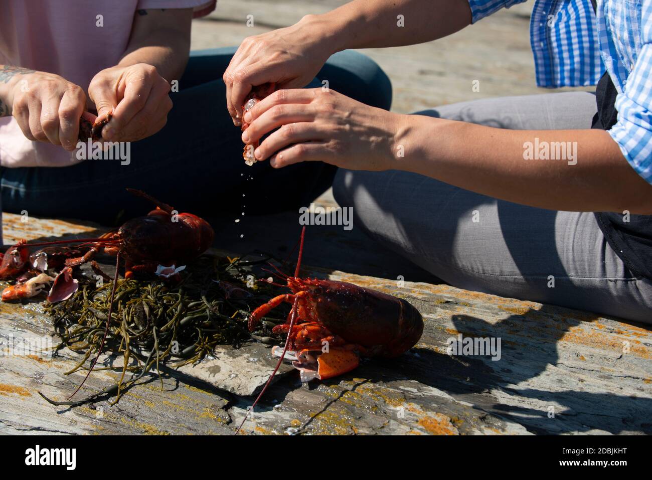 Maine lobster bake Stock Photo