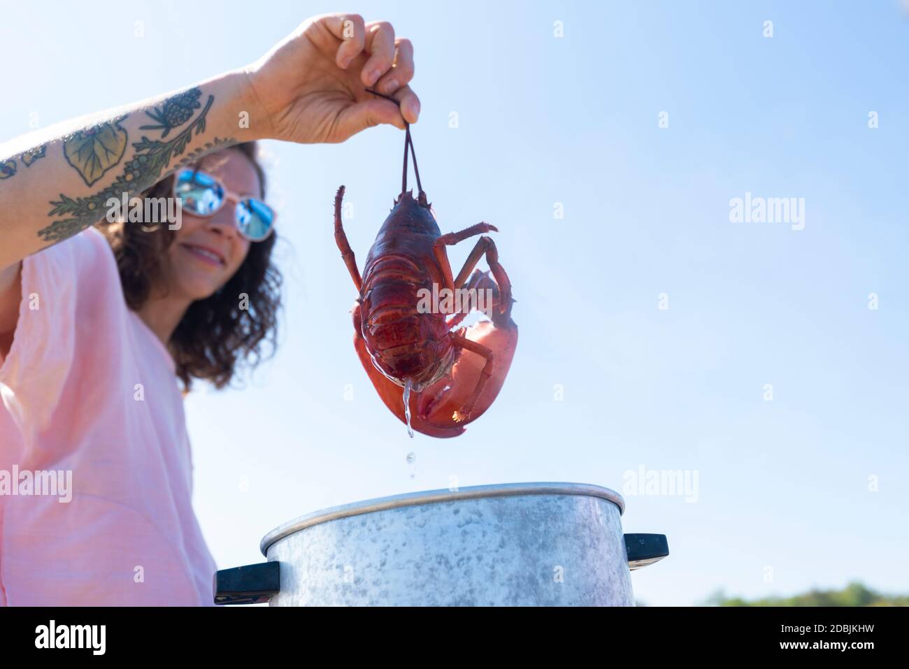 Boiling A Lobster