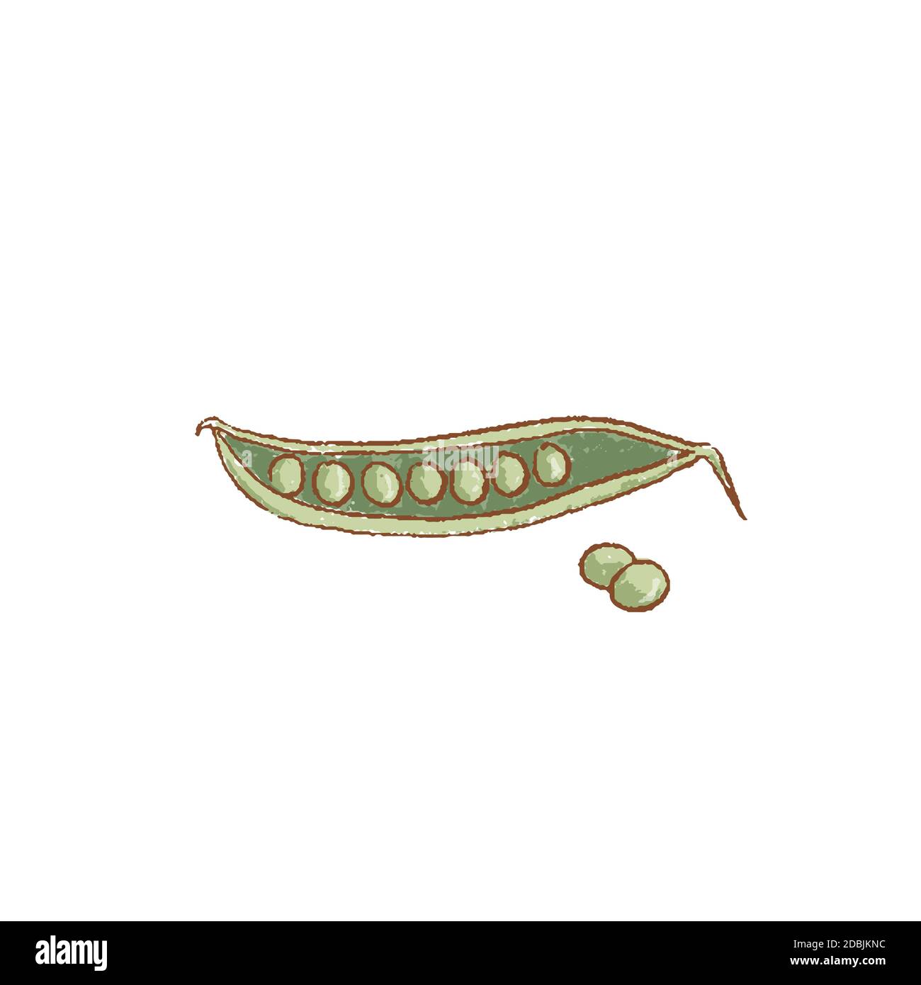 Fresh green pea pod and peas isolated icon. Spring. Rareripes. hastings
