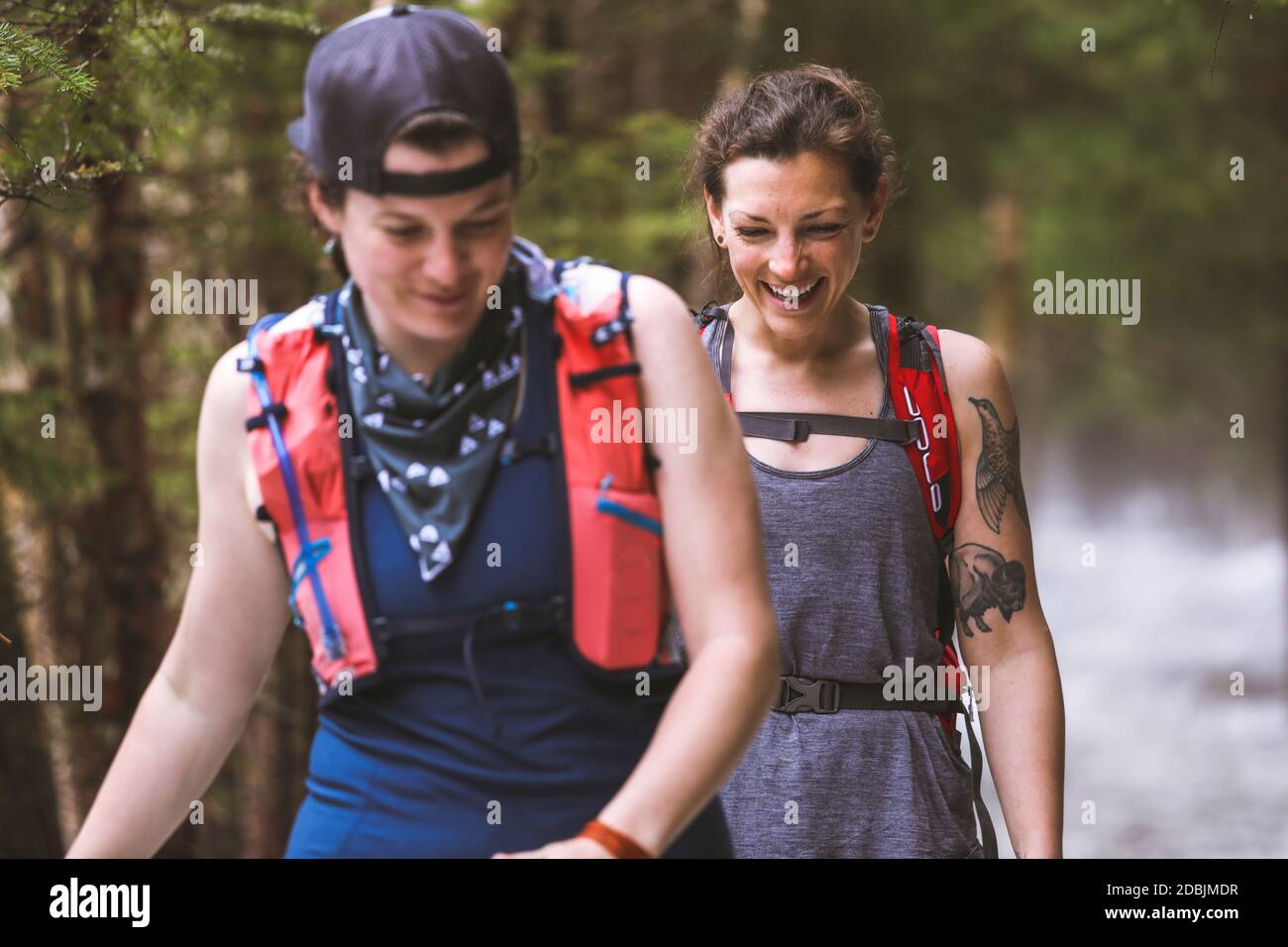 Two women hiking inÃ‚Â forest, New Hampshire, USA Stock Photo - Alamy