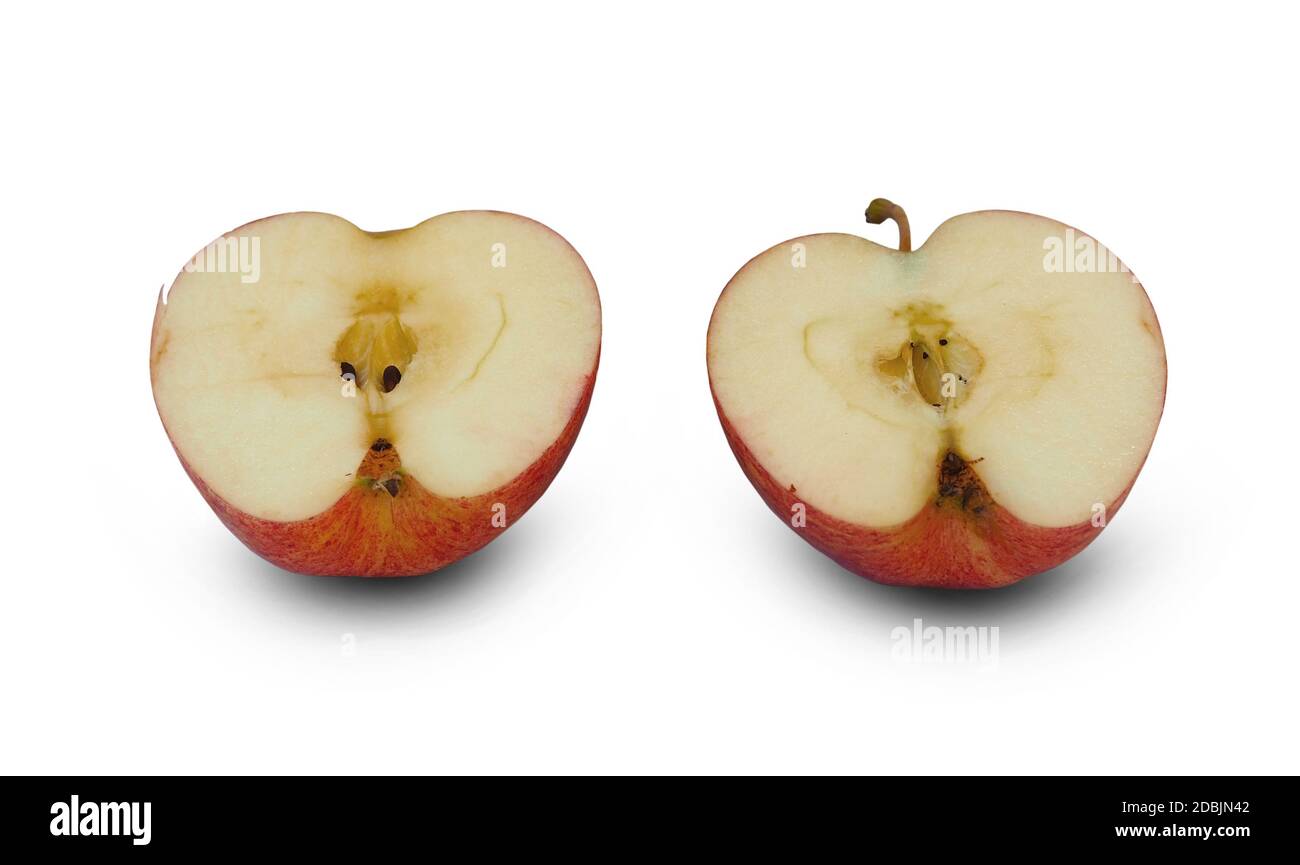 https://c8.alamy.com/comp/2DBJN42/2-halved-apples-isolated-on-a-white-background-with-clipping-path-suitable-for-graphic-editing-or-engage-in-advertising-2DBJN42.jpg