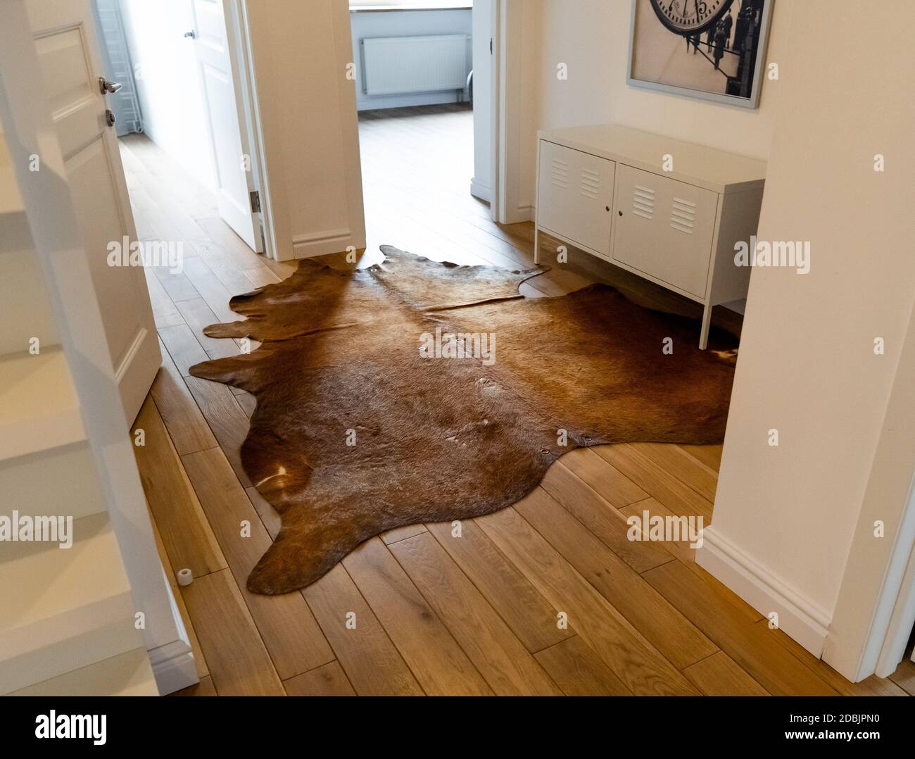 Reddish Brown Cowhide rug with silky coat on a wooden floor as luxuriously home decoration with rustic or western charm. A cow skin carpet in industri Stock Photo