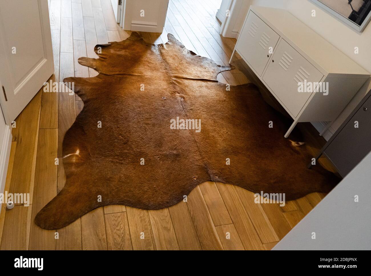 Reddish Brown Cowhide rug with silky coat on a wooden floor as luxuriously home decoration with rustic or western charm. A cow skin carpet in industri Stock Photo