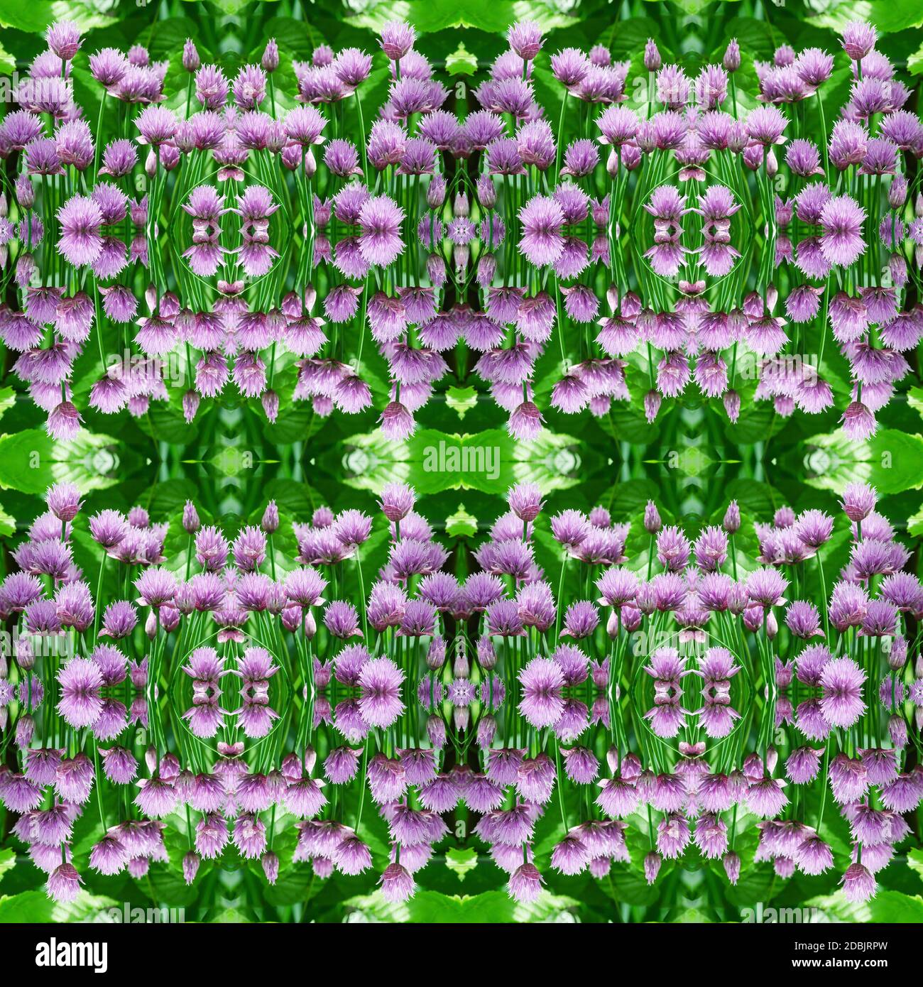 Seamless Wallpaper with purple flowers on a green background Stock ...