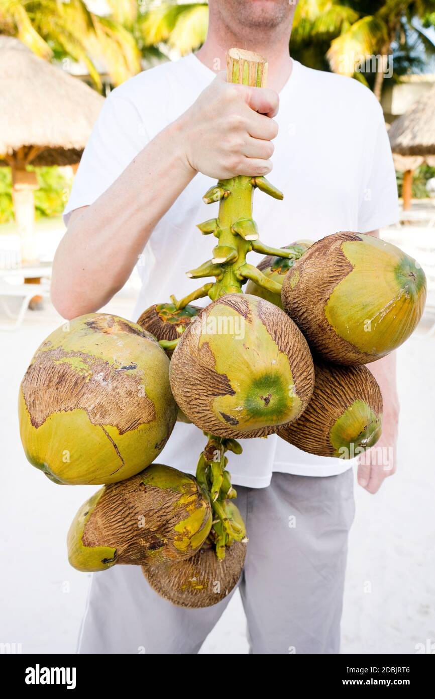 Man holding a bunch of coconuts on the beach, Cozumel, Mexico Stock
