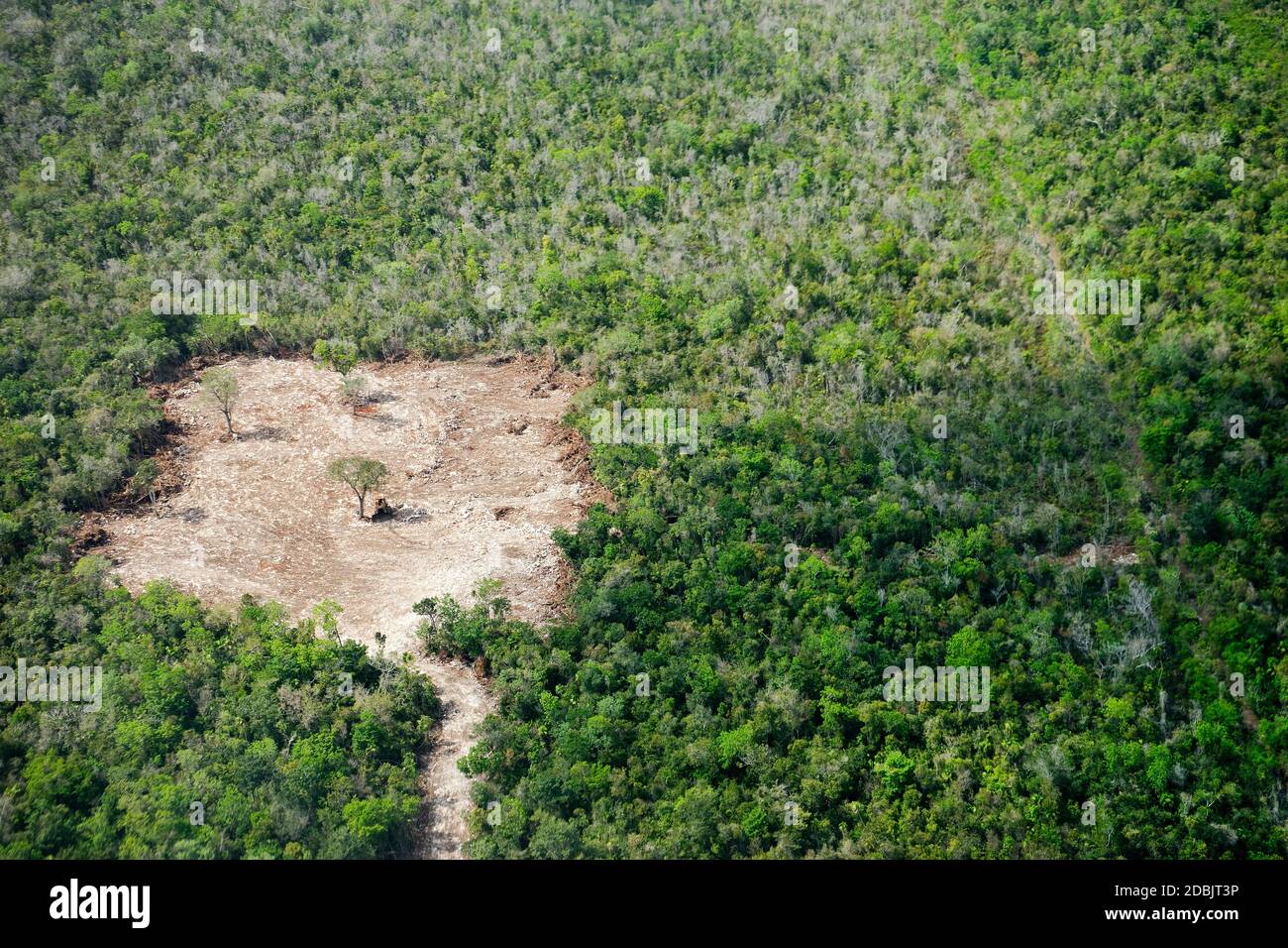 Aerial view of inner land on the Mexican Yucatan Peninsula Stock Photo