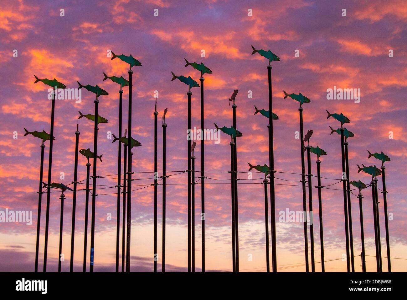 https://c8.alamy.com/comp/2DBJWB8/fish-on-poles-mobil-swivelling-art-feature-statue-piscatorial-seaside-architecture-of-weather-vanes-on-the-southport-coastal-promenade-merseyside-uk-this-tall-structure-features-metal-fish-cut-outs-on-long-poles-like-a-shoal-of-fish-facing-different-directions-according-to-the-prevailing-winds-2DBJWB8.jpg
