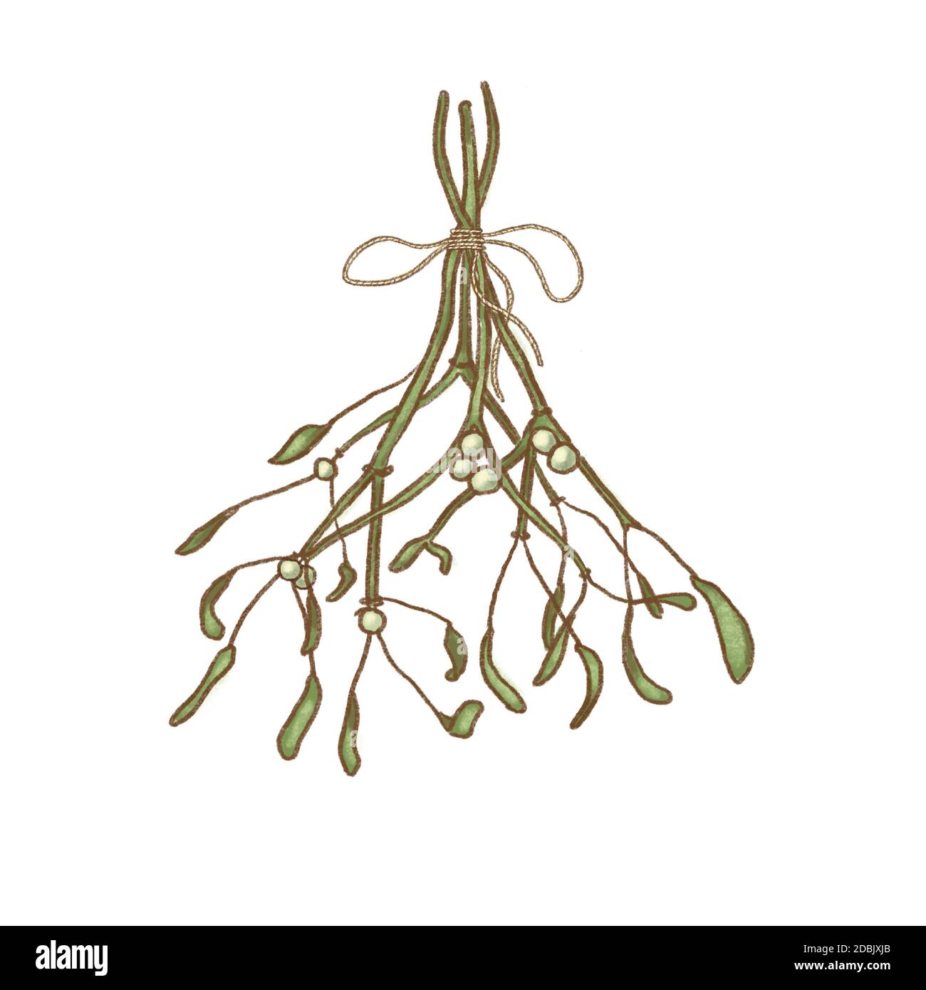 Colorful holiday Christmas hanging mistletoe isolated over white background Stock Photo Alamy