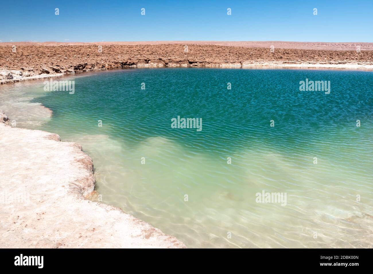 Hidden lagoon Baltinache (Lagunas escondidas Baltinache) Atacama Desert ...