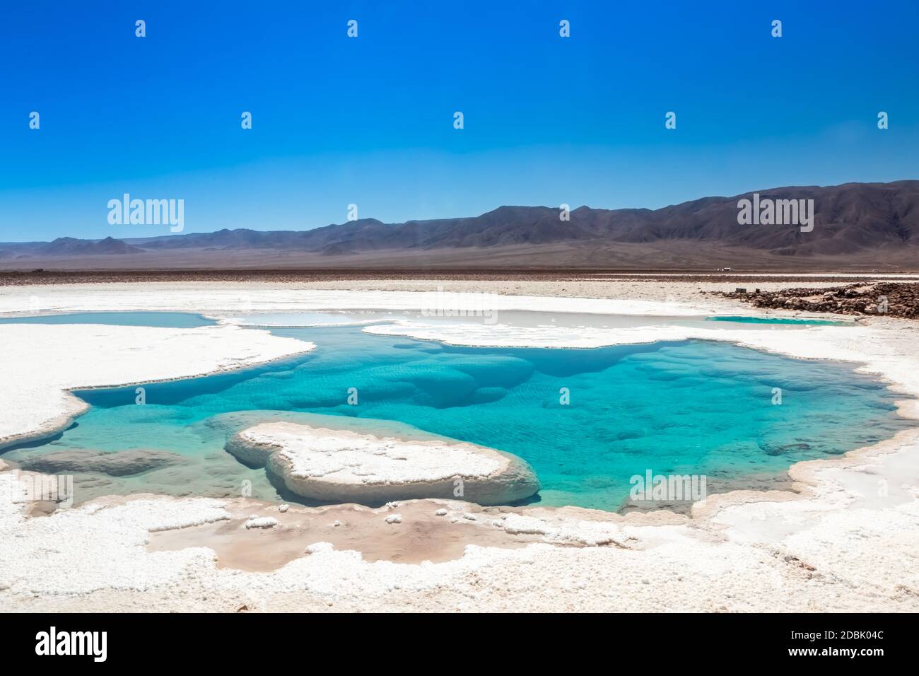 Hidden lagoon Baltinache (Lagunas escondidas Baltinache) Atacama Desert ...