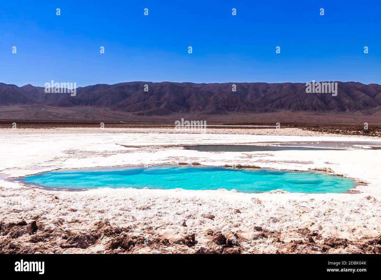 Hidden lagoon Baltinache (Lagunas escondidas Baltinache) Atacama Desert ...