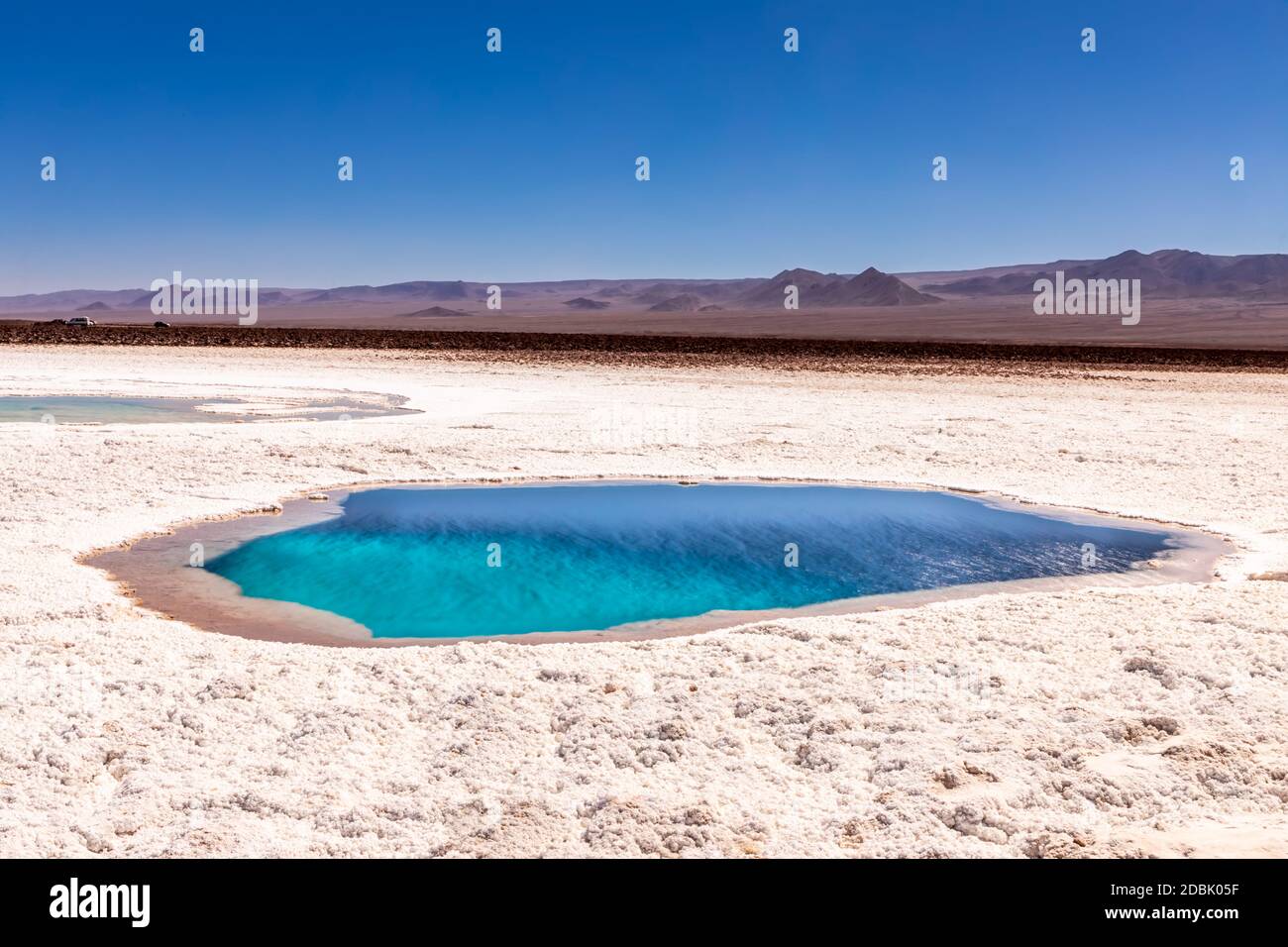 Hidden lagoon Baltinache (Lagunas escondidas Baltinache) Atacama Desert ...