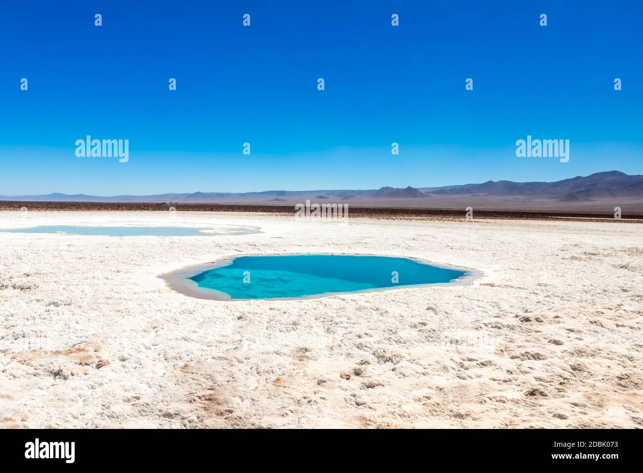 Hidden lagoon Baltinache (Lagunas escondidas Baltinache) Atacama Desert ...