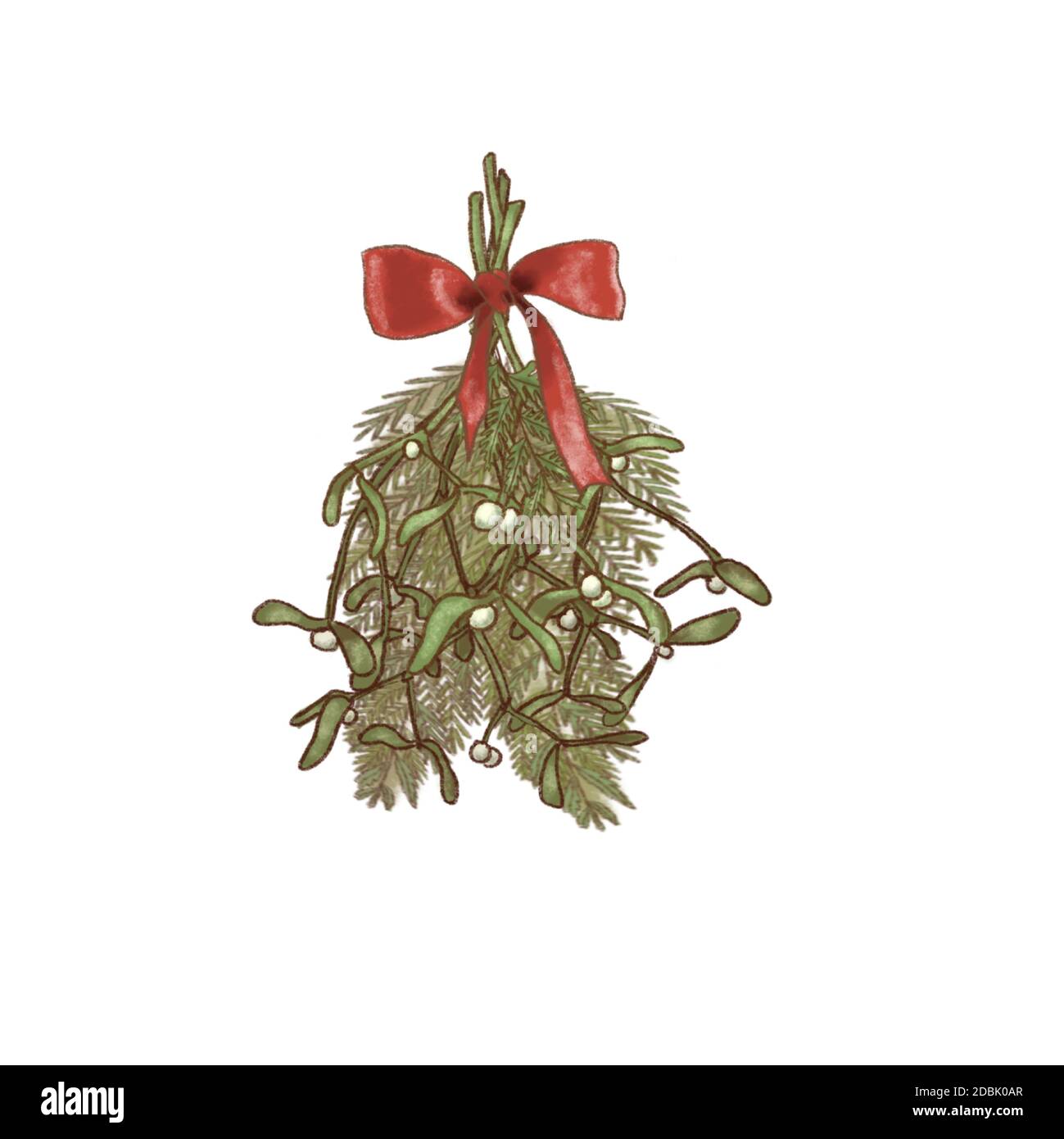 Christmas hanging mistletoe bouquet and fir with red ribbon and bow isolated Stock Photo Alamy
