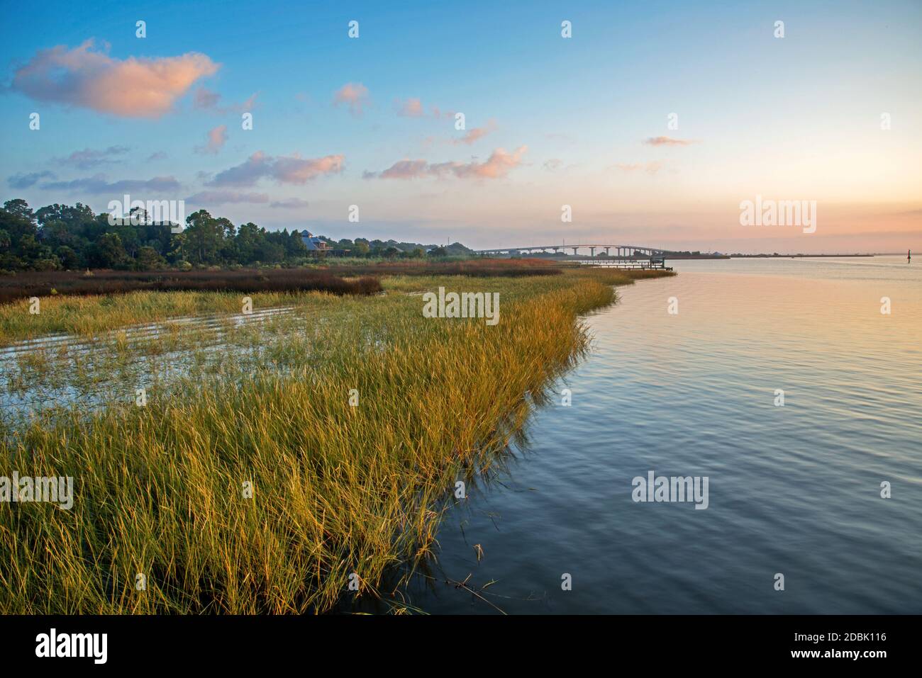 Apalachicola River at dawn, Florida, USA Stock Photo