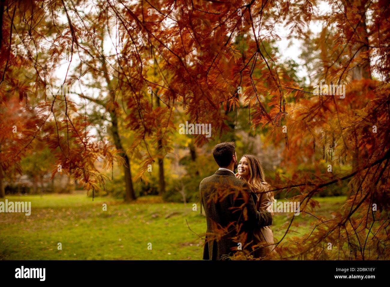 Handsome young couple in the autumn park Stock Photo - Alamy