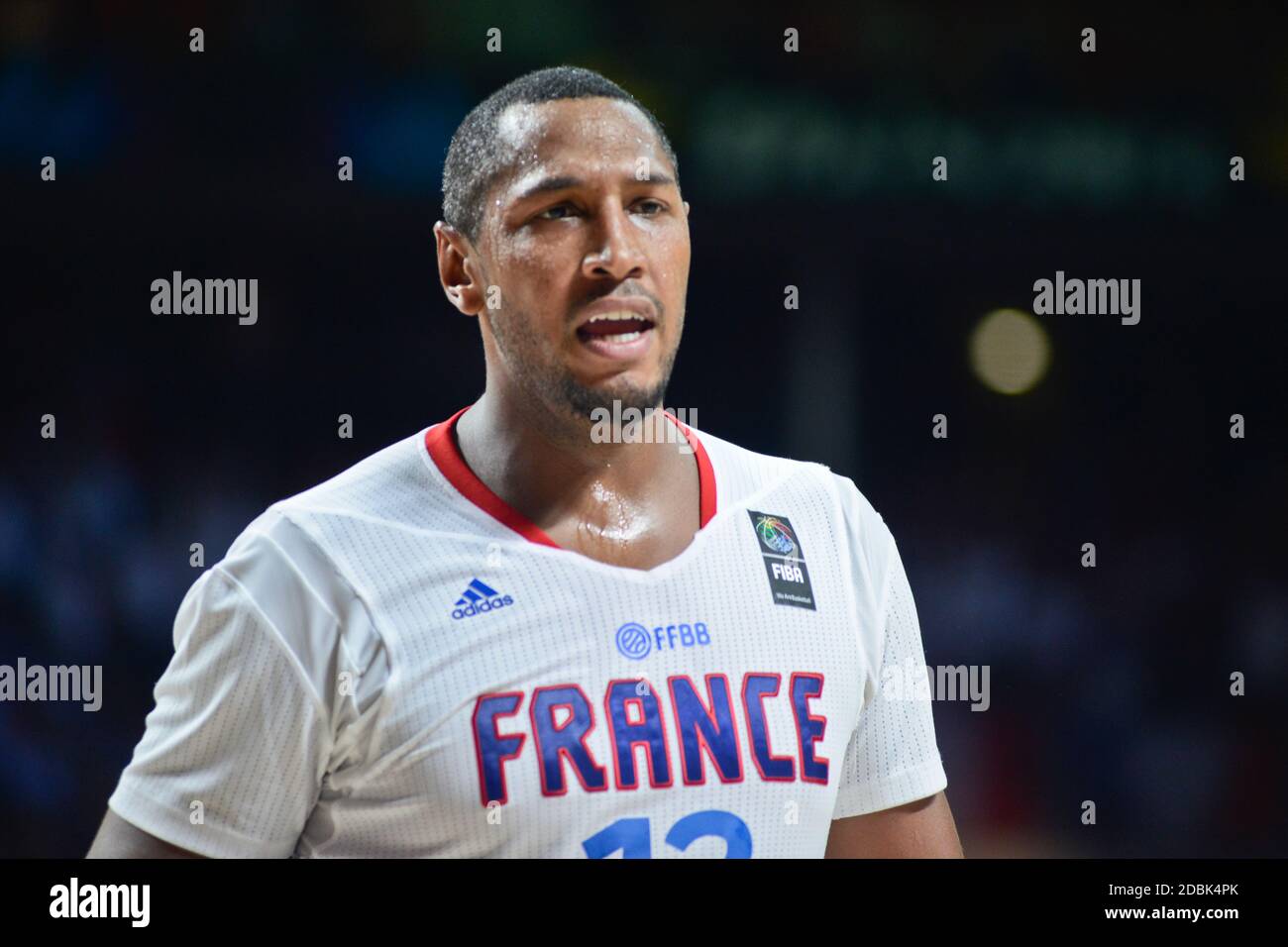 Boris Diaw. France Basketball National Team. FIBA World Cup Spain 2014 Stock Photo