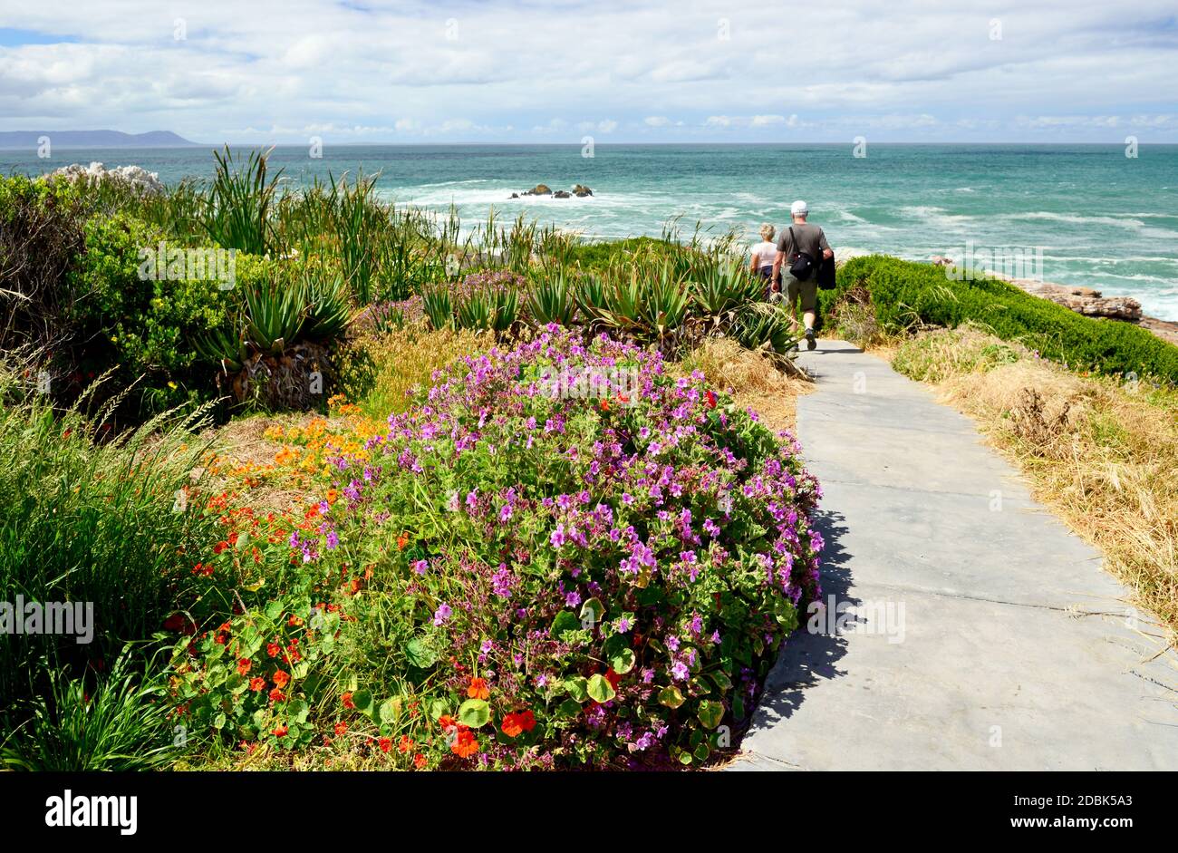 Cliff path along the coastline of Hermanus, South Africa Stock Photo