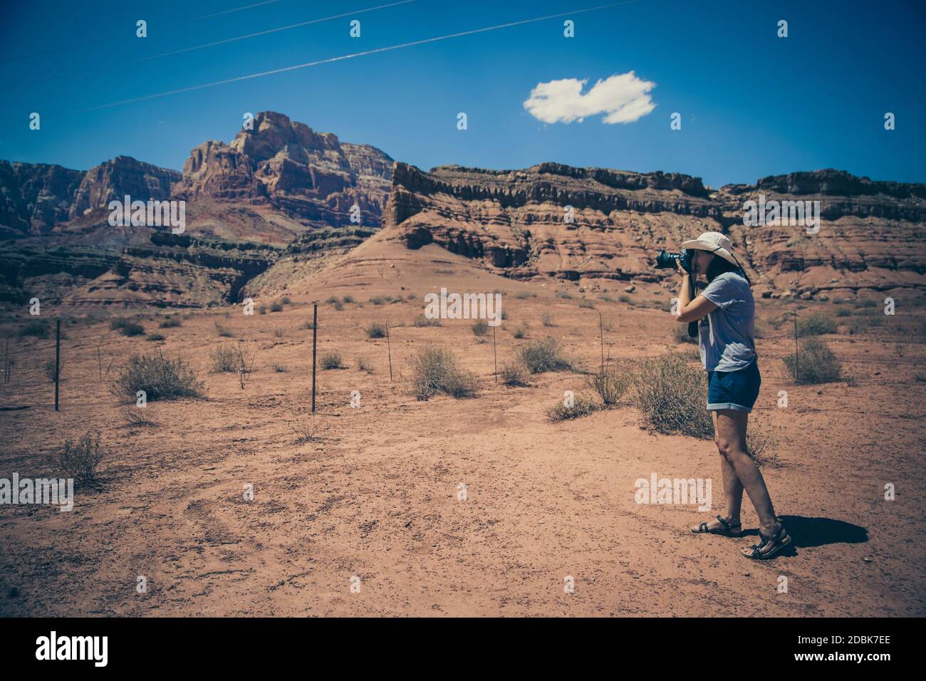 Woman photographing rocks in  Marble Canyon. Arizona. USA Stock Photo