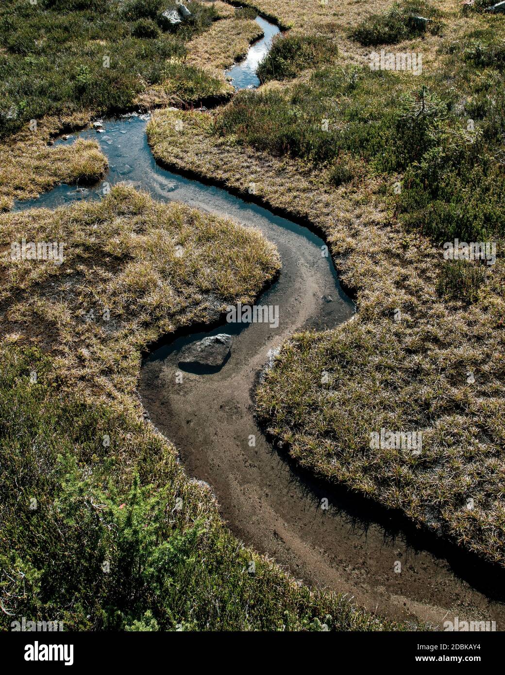 Winding stream in alpine meadow, Pemberton, British Columbia, Canada Stock Photo