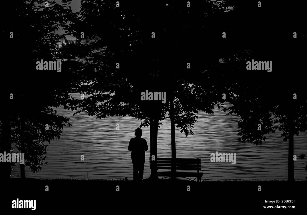 The shores of Lake Washington, DC. Shooting Location Washington, DC