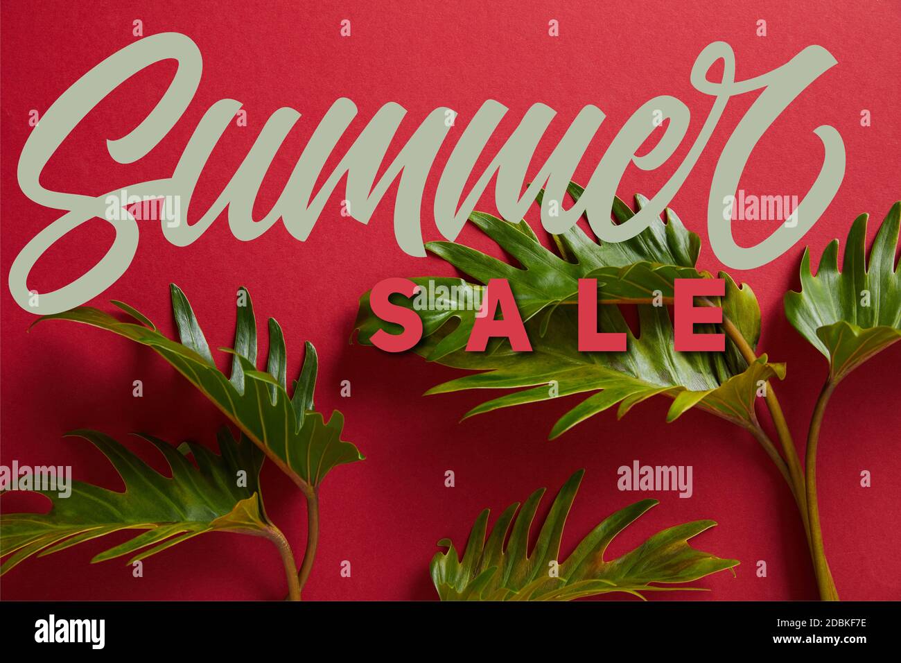 top view of tropical green leaves on red background with summer sale ...