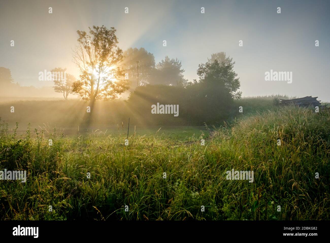 Sunbeams in the mist hi-res stock photography and images - Alamy