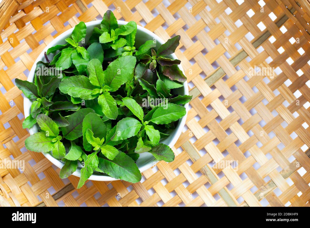 Fresh holy basil leaves in white bowl on wooden bamboo threshing basket