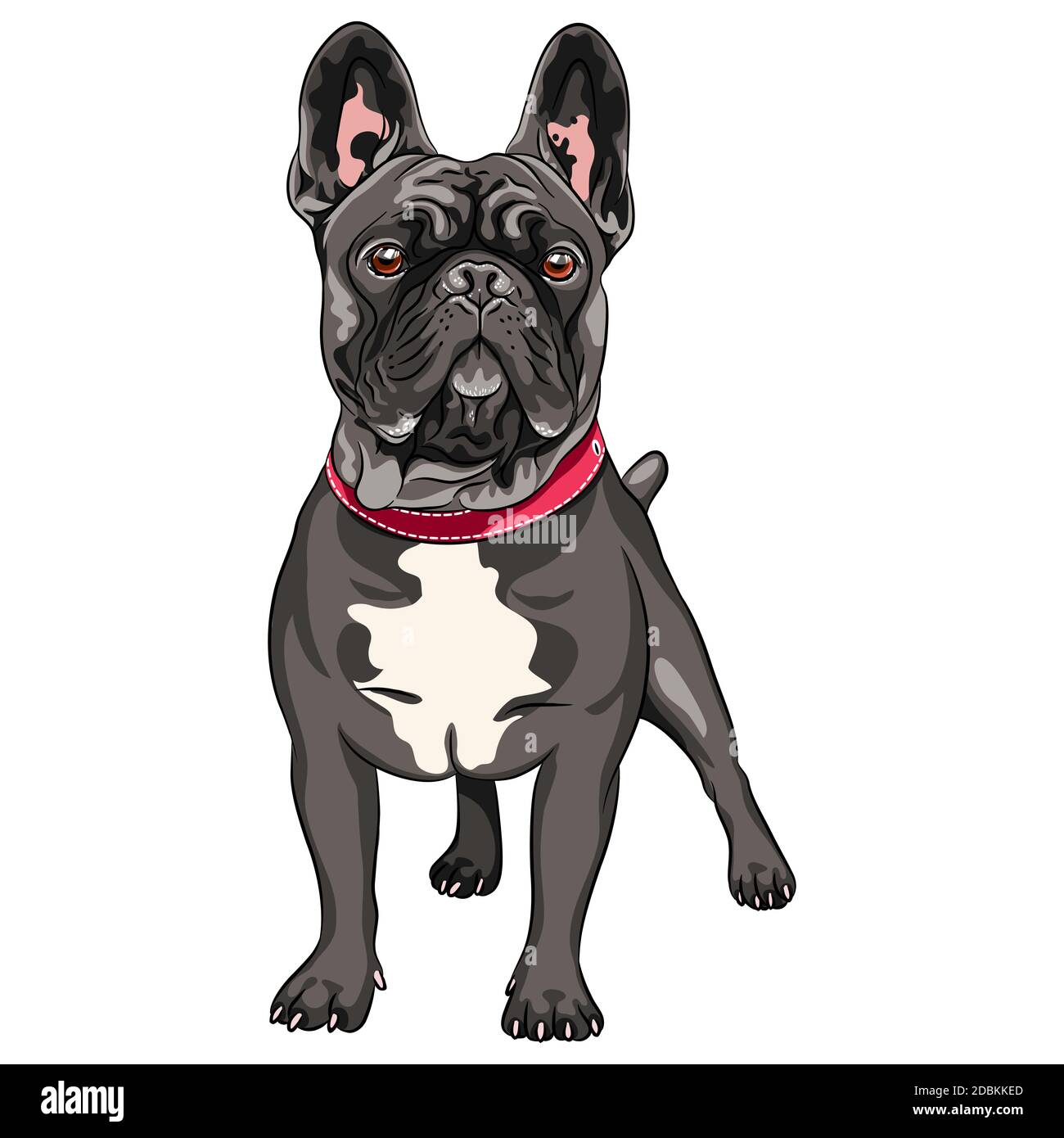 Black Dog Clipart High Resolution Stock Photography And Images Alamy