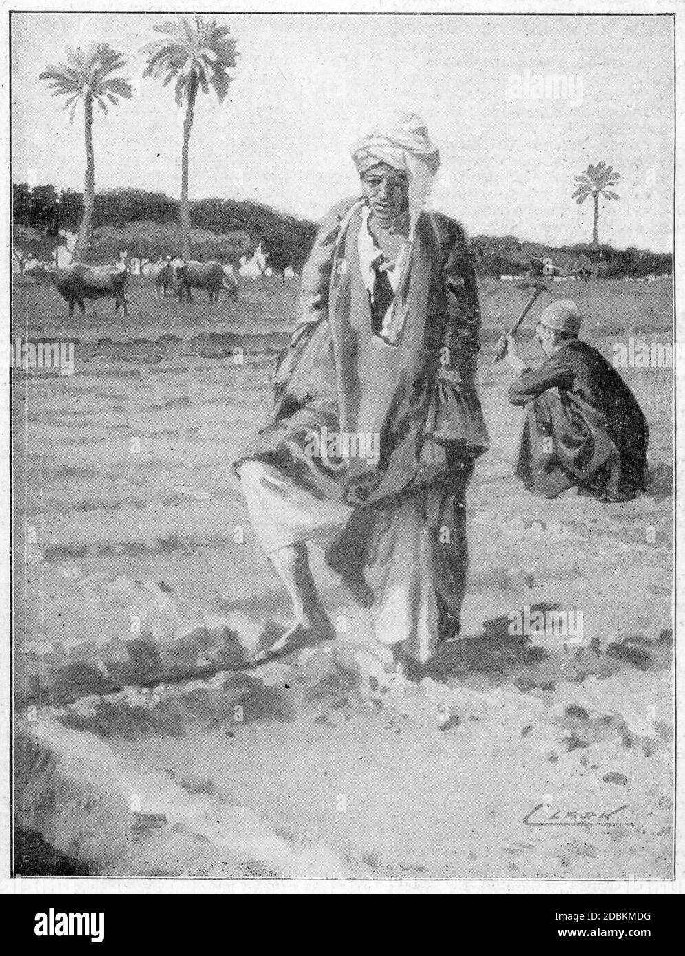 Halftone of a person 'watering with the foot' at Giza, Egypt, by using their feet to open irrigation channels, as in Deuternomy 11:10. Stock Photo