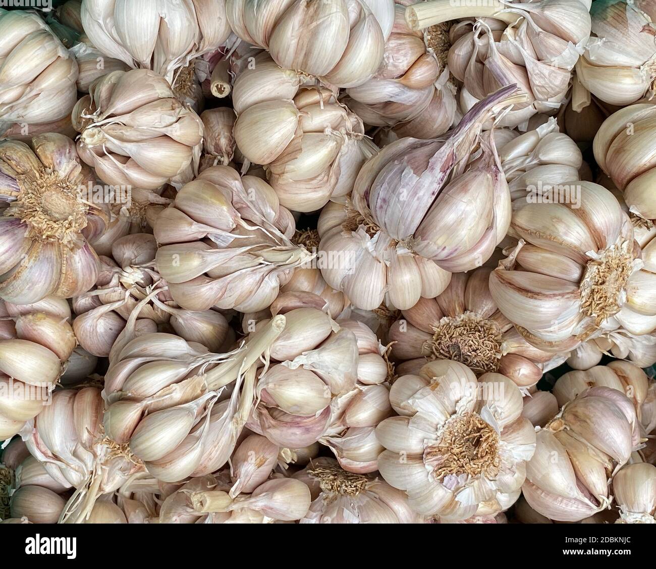 Garlic for sale in Funchal Market, Madeira Stock Photo
