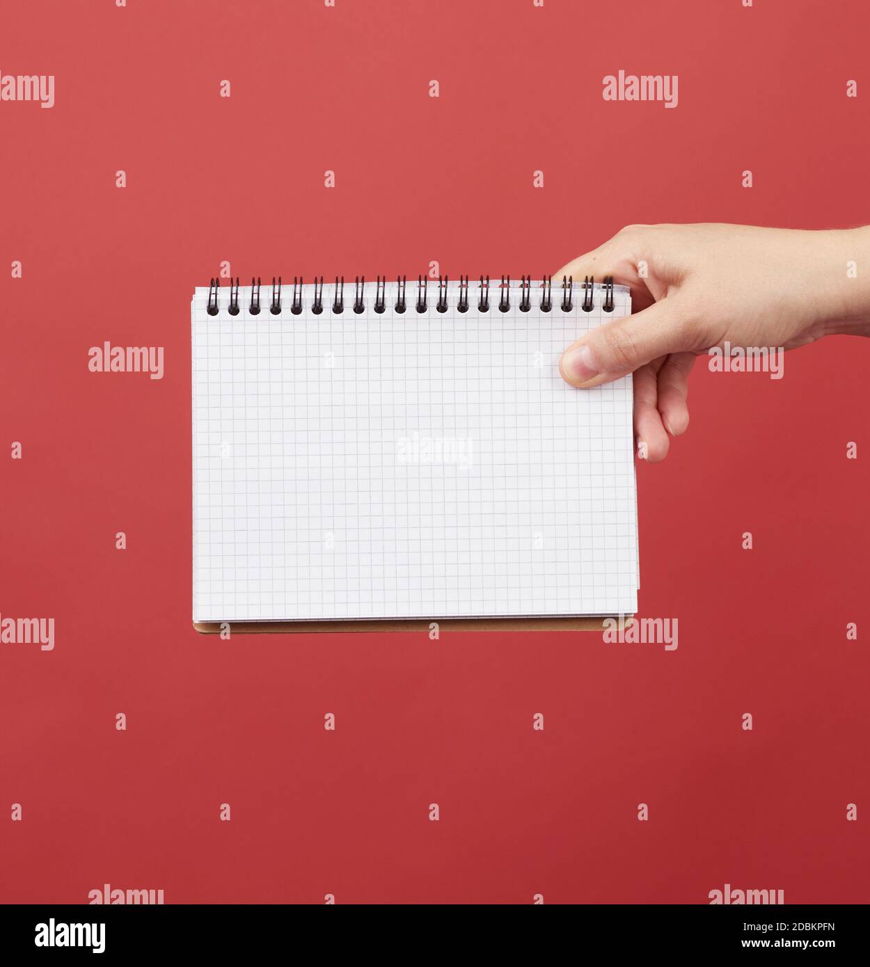 hand holding an open spiral notebook with empty white sheets, red background, copy space Stock Photo
