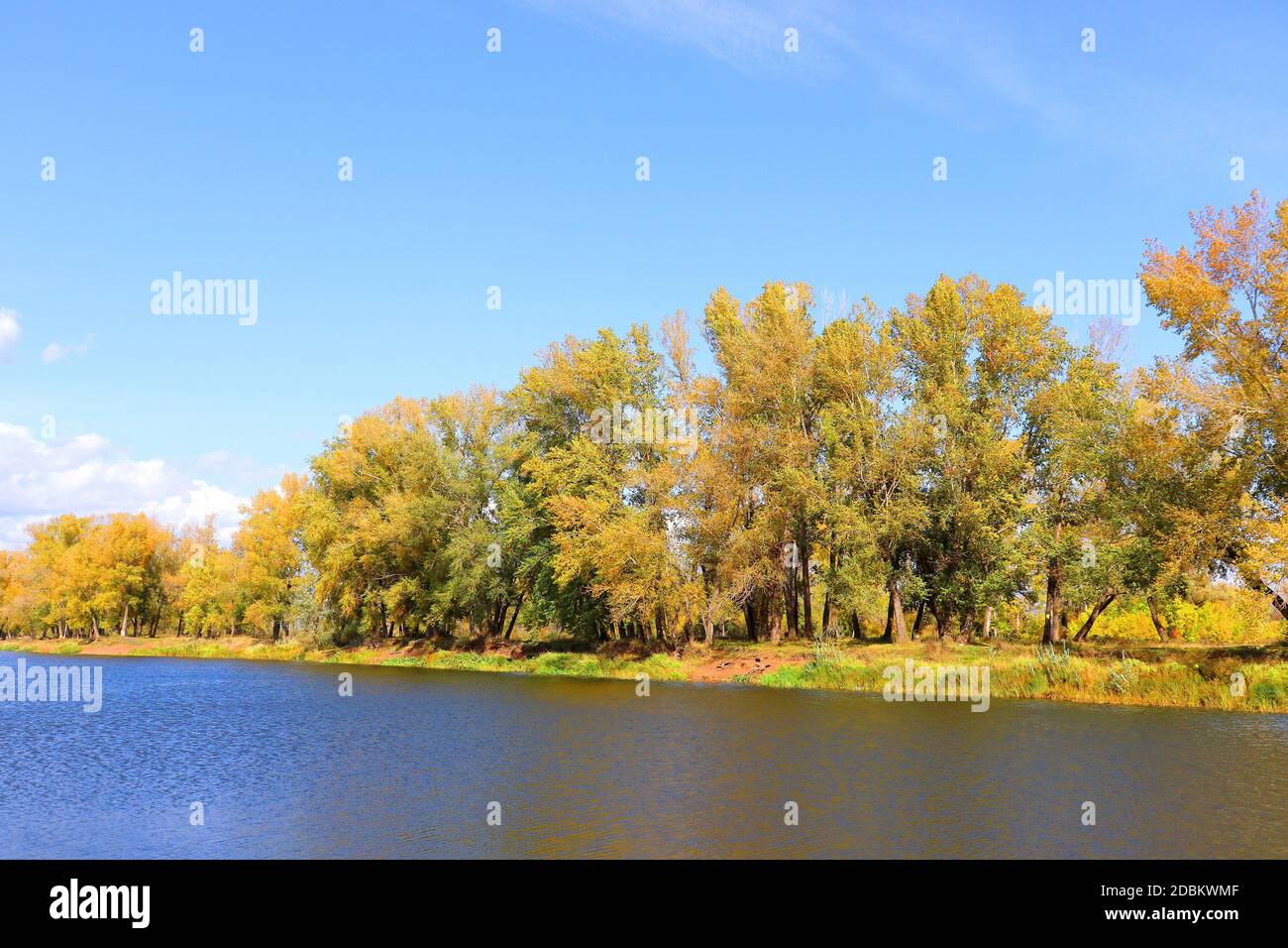 autumn landscape with river and trees Stock Photo - Alamy