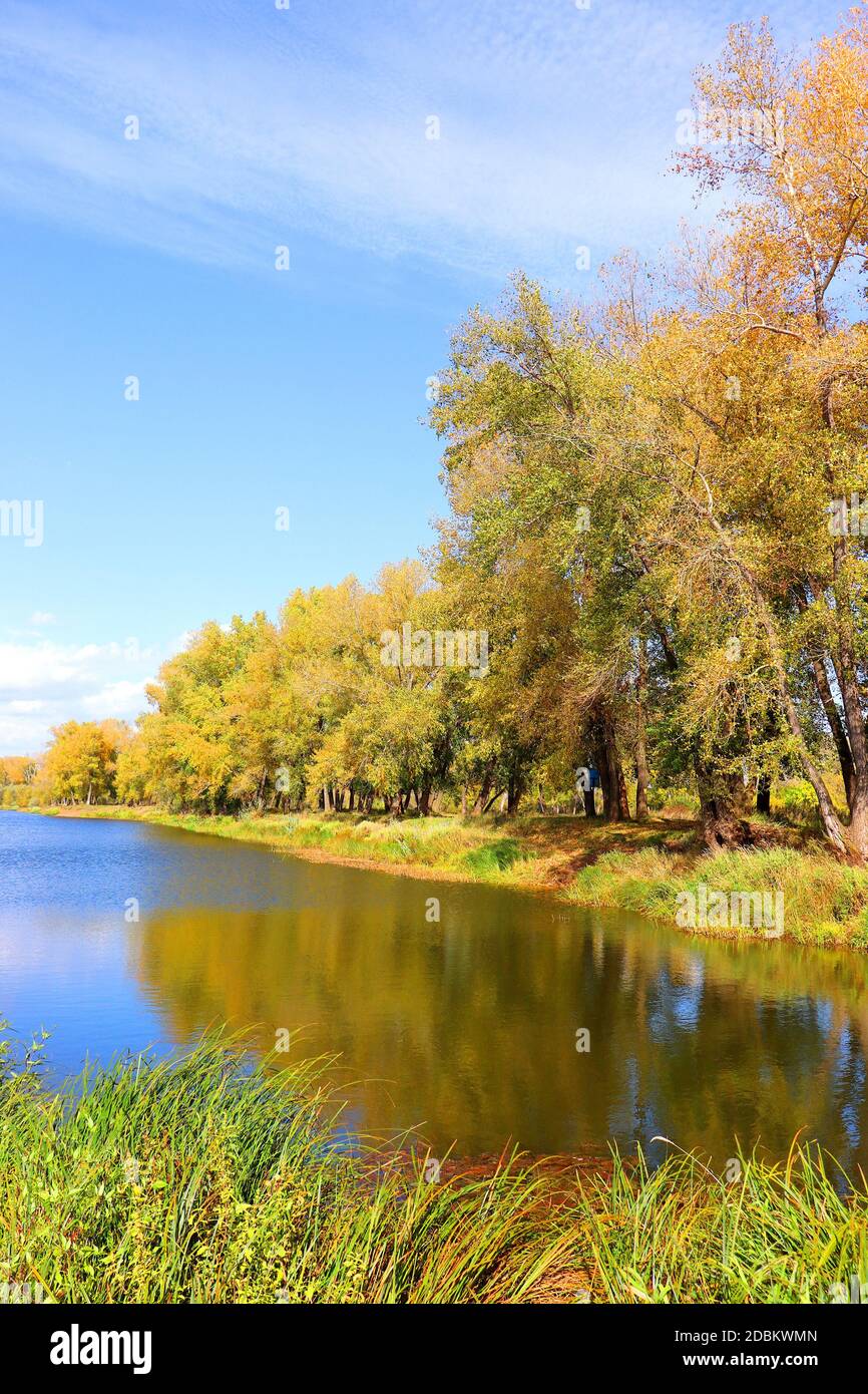 autumn landscape with river and trees Stock Photo - Alamy