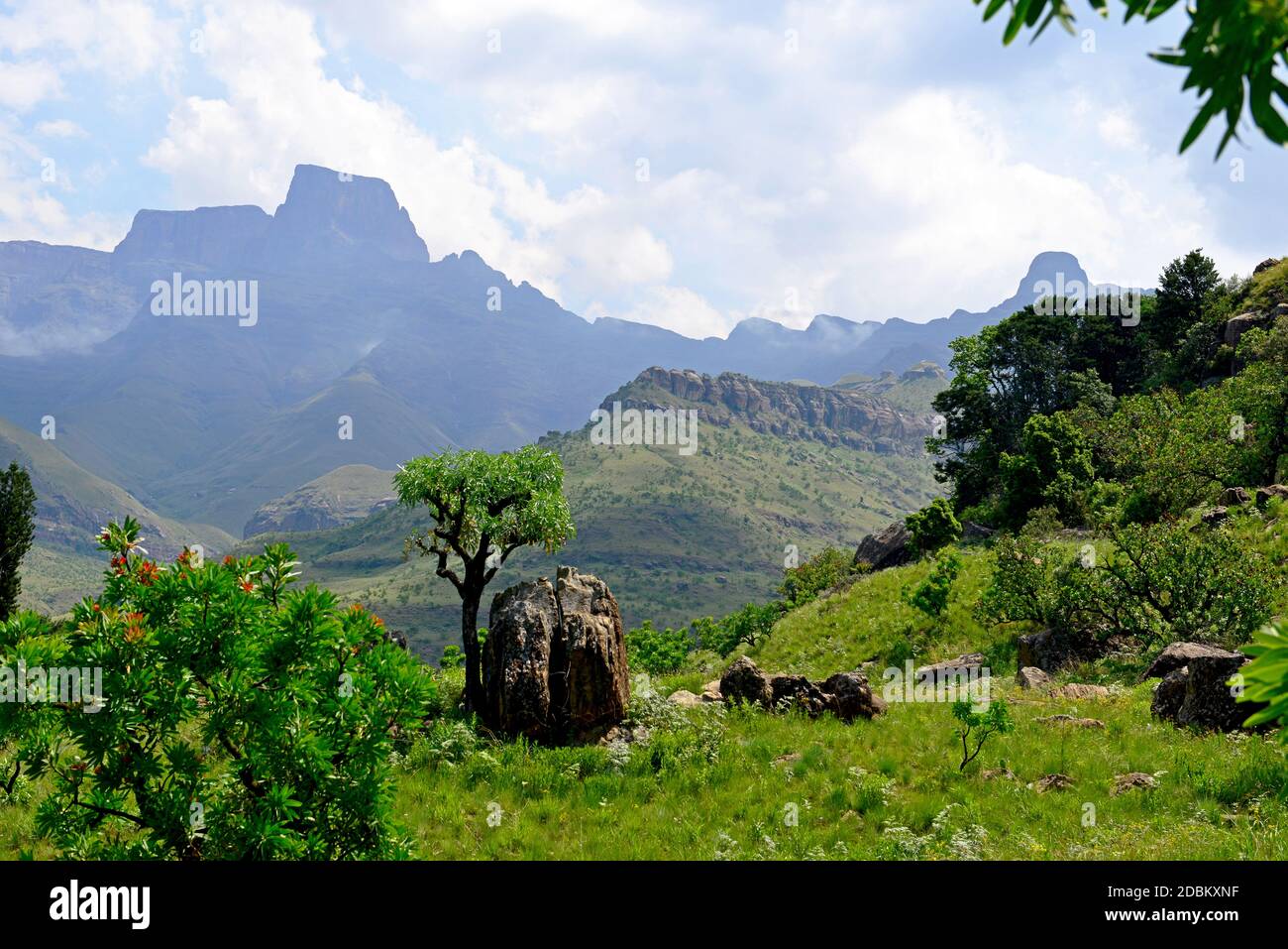 Hiking in the Drakensberg Stock Photo
