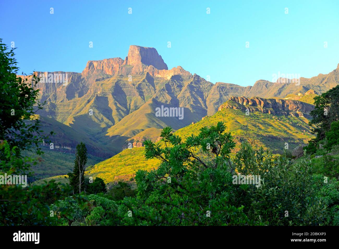 Hiking in the Drakensberg Stock Photo
