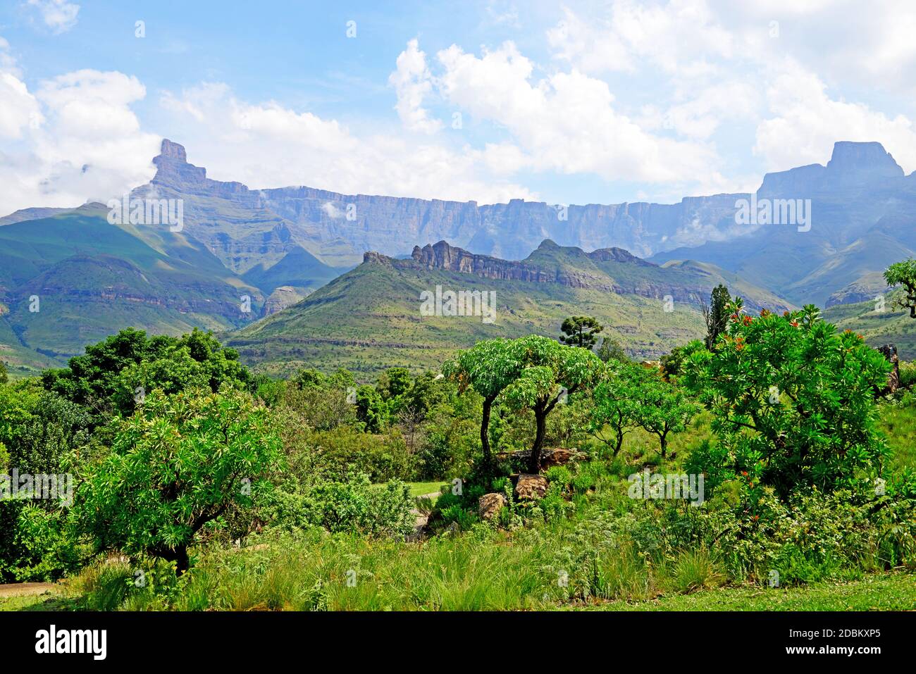 Hiking in the Drakensberg Stock Photo